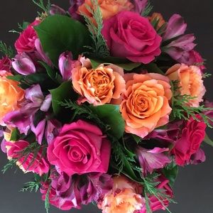 Meet your Posher, Jin